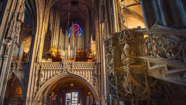 Giant-Organ-Concert · St. Stephen's Cathedral