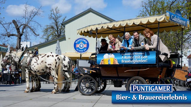 Puntigamer Galobierer - Bierverkostung & Stadtrundfahrt mit den Brauereipferden